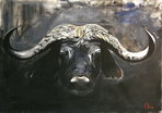 Stier 2